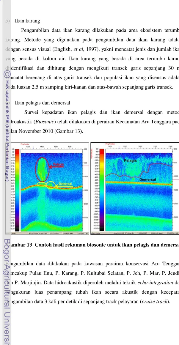 Gambar 13  Contoh hasil rekaman biosonic untuk ikan pelagis dan demersal 