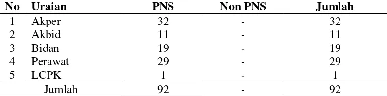 Tabel 4.3  Data Tenaga Para Medis Non Perawat PNS dan Non PNS RSUD Kabanjahe 