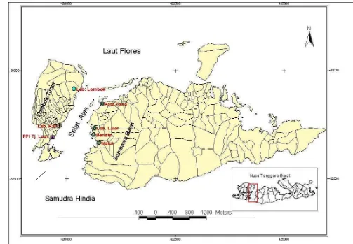 Gambar 4 Peta lokasi Selat Alas dan beberapa lokasi pendaratan ikan sebagai lokasi penelitian 