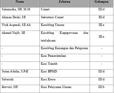 Tabel 1. Struktur pemerintahan Kecamatan Ketambe tahun 2016 