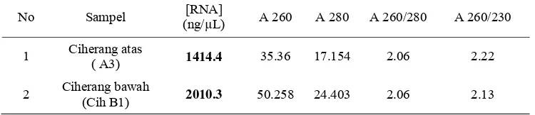 Tabel 2 Komposisi larutan digest  pGEM-T OsCKX dengan SmaI dan KpnI 