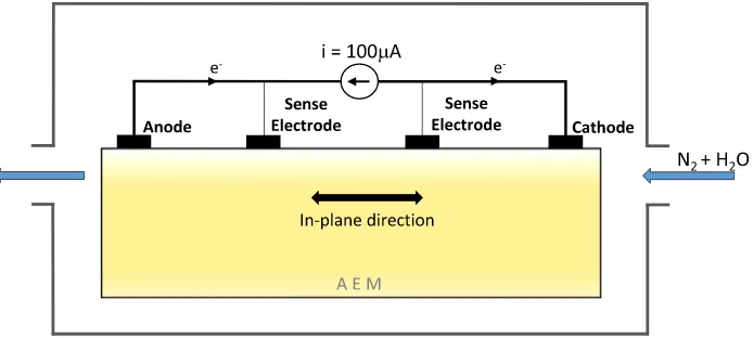 Fig. 1. Schematic illustration of the experimental setting.