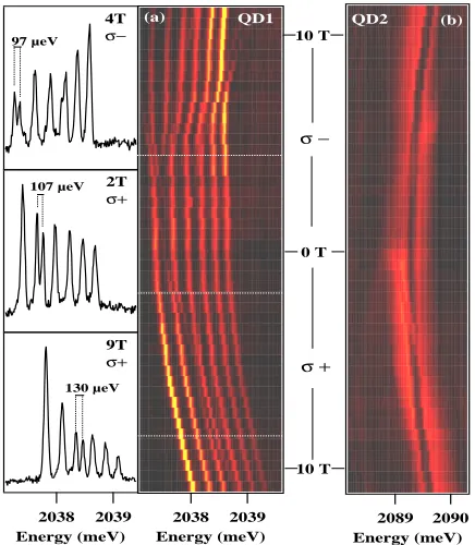 FIG. 5: (color online). Magnetic ﬁeld dependence of the emis-