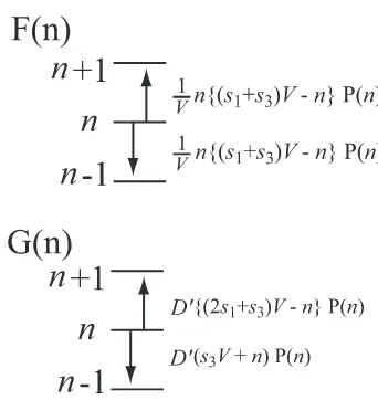 Fig. 5.Random walk model for transition phenomenon inducedby the internal noise. When we assume that the total number ofmolecule M1 + M3 is conserved, the chemical reaction in § 2 isreduced into the random walk model