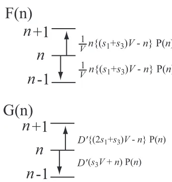 Fig. 5.Random walk model for transition phenomenon inducedby the internal noise. When we assume that the total number ofmolecule M1 + M3 is conserved, the chemical reaction in § 2 isreduced into the random walk model