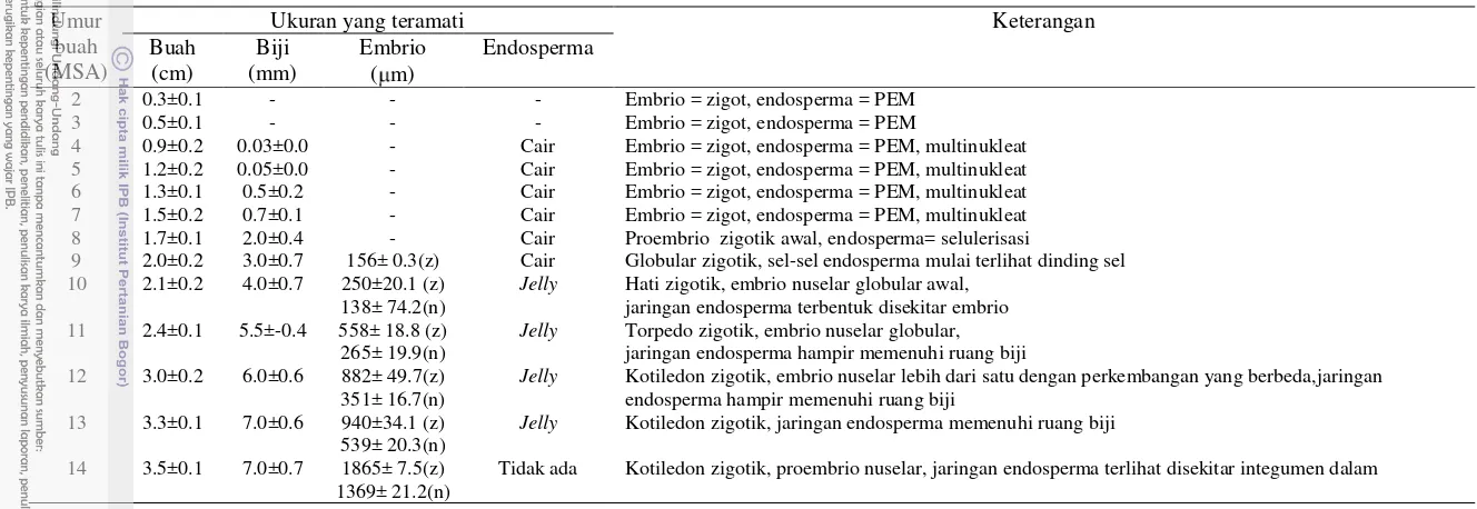 Tabel 1. Tahapan perkembangan endosperma pada buah jeruk Siam Simadu, 2-14  minggu setelah antesis