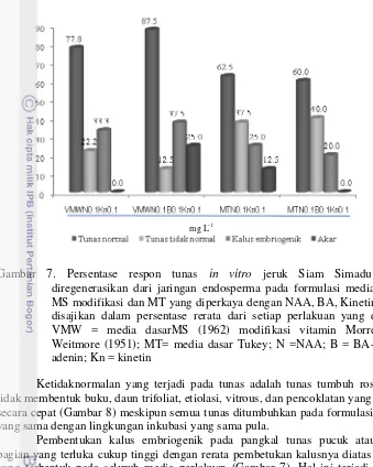 Gambar 7. Persentase respon tunas in vitro jeruk Siam Simadu yang 