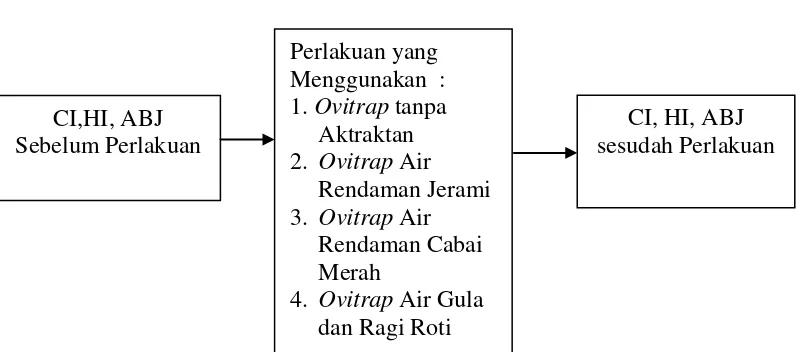 Gambar 2.2. Kerangka Konsep Penelitian 