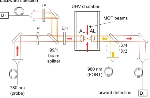 FIG. 3: Combined results for transmission and reﬂection fromthe atom–lens setup as a function of the detuning with re-spect to the unperturbed atomic transition