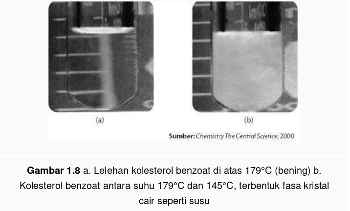 Gambar 1.8 a. Lelehan kolesterol benzoat di atas 179°C (bening) b. 