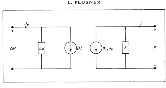 FIG. 12. Practical representation of electro-osmosis. 