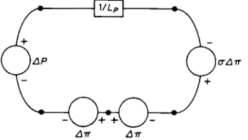 FIG. 6. Adding a null force source at the lower branch does not change the network. 