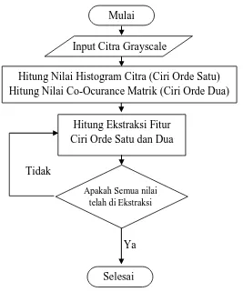 Gambar 3.11. Diagram alir proses ekstraksi fitur menggunakan ciri orde satu  