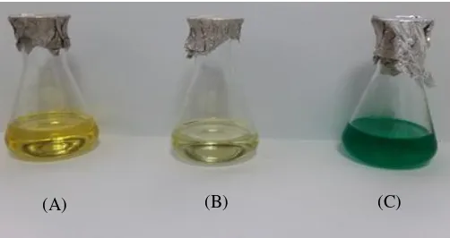 Gambar 3. SEM Logam Tembaga pada Biodiesel (A) Sebelum Uji (B) Setelah Uji pada Suhu 30 Oc Dan (C) Setelah Uji Pada Suhu 50 Oc 