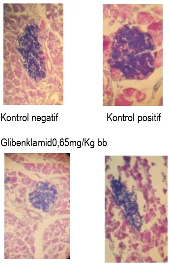 Gambar 2 :Hasil histologi pankreas dengan perbesaran 40 kali  