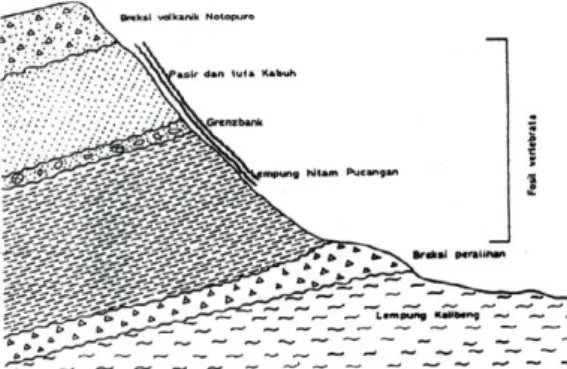 Gambar 1. Lapisan Stratigrafi Situs Sangiran  Situs  Sangiran  tersusun  atas   lapisan-lapisan  tanah  yang  dibagi  menjadi  beberapa  formasi  yaitu  Formasi  Kalibeng,  Formasi  Pucangan,  Formasi  Grenzbank,  Formasi  Kabuh  dan  Formasi  Notopuro