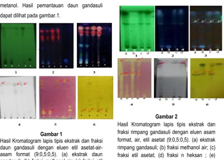 Gambar 2 Hasil Kromatogram lapis tipis ekstrak dan 