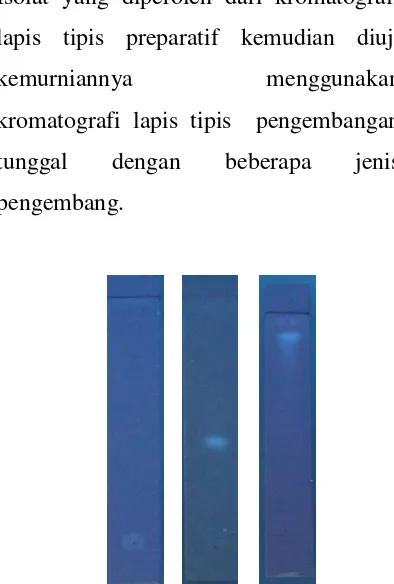 Gambar 3 Kromatogram lapis tipis isolat X, fase 