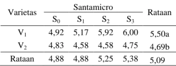 Tabel  1.  Rataan  Tinggi  Tanaman  (cm)  Jagung  Manis  Akibat  Perlakuan  Varietas  dan  Pemberian  Pupuk    Santamico  Umur  4  MST 
