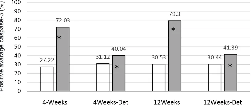 Figure 2 showed the average percentage of the increase in caspase-3-positive following 4 and 12 weeks of anaerobic exercise