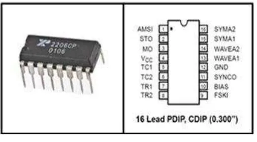 Gambar 2.5 Bentuk fisik IC XR-2206. 