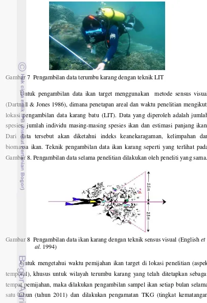 Gambar 7  Pengambilan data terumbu karang dengan teknik LIT  