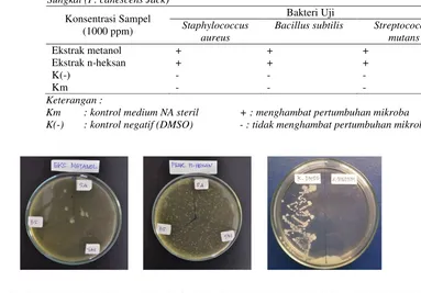 Gambar 1. Foto hasil skrining antimikroba ekstrak  kasar methanol dan fraksi n-heksan daun Sungkai (Peronema canescens