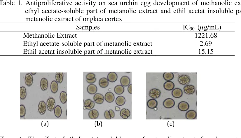 Figure 1.  The effect of ethyl acetate-soluble part of metanolic extract of ongkea cortex  on the initial development of sea urchin (Lytechinusvariegatus) embryos