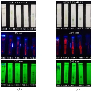 Gambar 2. Hasil KLT 4 kelompok besar (A)NHA, (B)NHB, (C)NHC, (D)NHD menggunakan  eluen n-heksana:etil (8:2) diamati pada  sinar UV 254 nm, dan 366 nm  