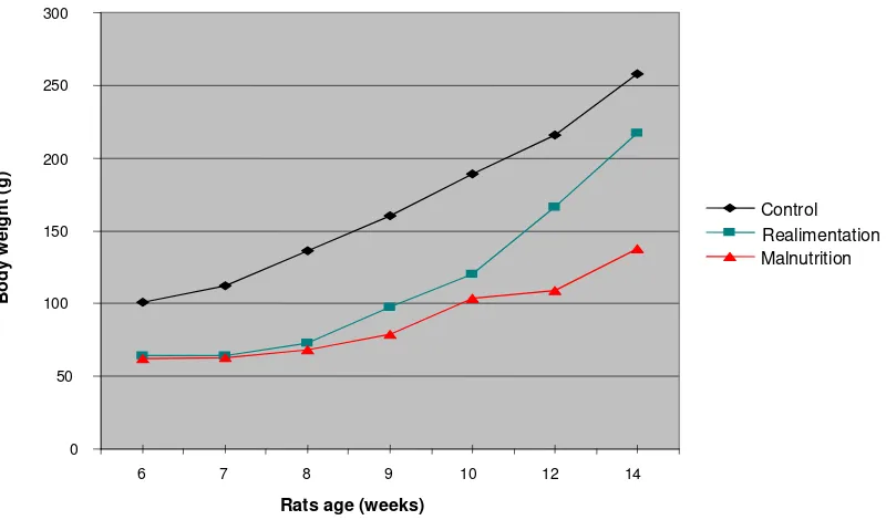 Figure 1. The Increase of Realimentation Prenatally-induced Malnutrition Body Weight Rats from 6 Weeks Old to 14 Weeks Old