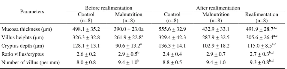 Table 2.   Small Intestinal Parameters* Prenatally-induced Malnutrition before (6 Weeks Old) and after Realimentation 