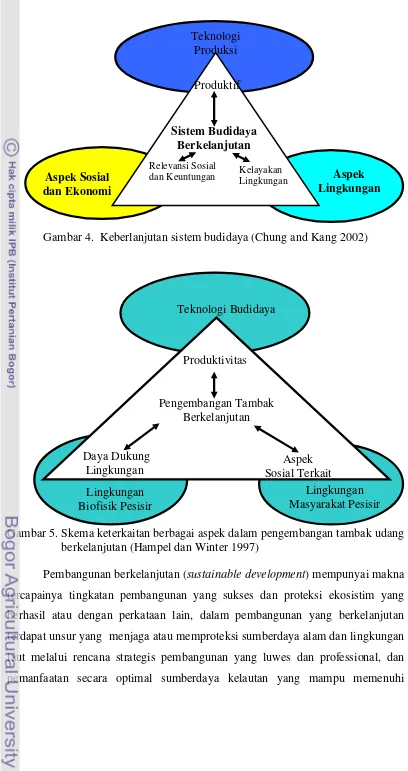 Gambar 4.  Keberlanjutan sistem budidaya (Chung and Kang 2002) 