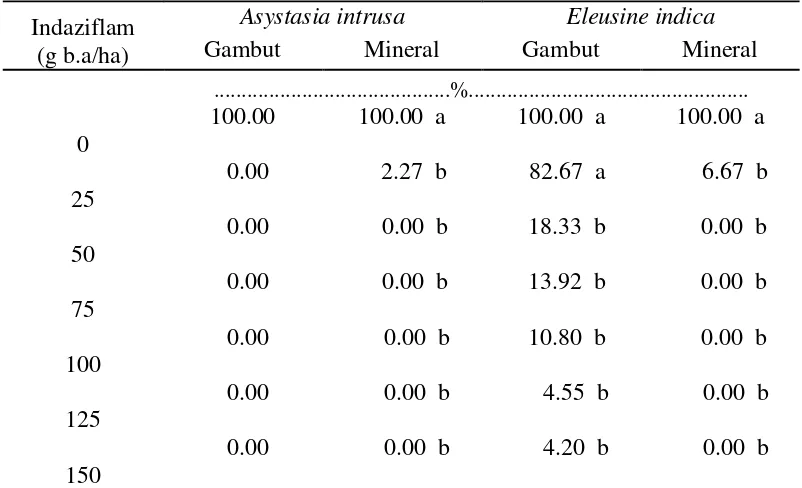 Tabel 3. Pengaruh indaziflam terhadap persentase A.intrusa dan E. indica yang 