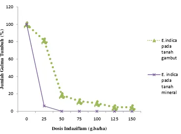 Gambar 7. Grafik persentase tumbuh E. indica pada penyemprotan indaziflam  