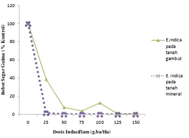 Gambar 8. Grafik bobot segar (% kontrol) A. intrusa pada penyemprotan 