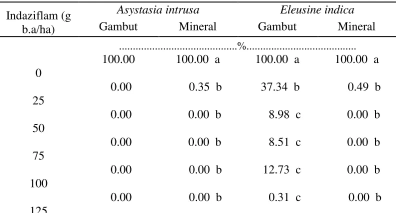Tabel 5. Pengaruh indaziflam  terhadap persentase bobot kering (% kontrol)        