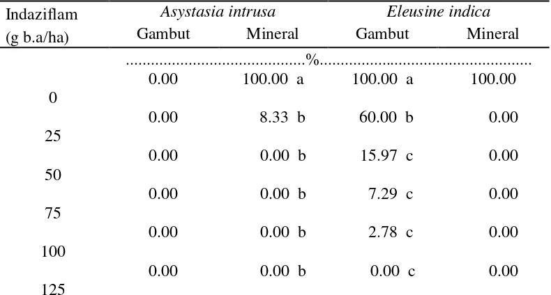 Tabel 1. Pengaruh indaziflam terhadap persentase A.intrusa dan E. indica yang 