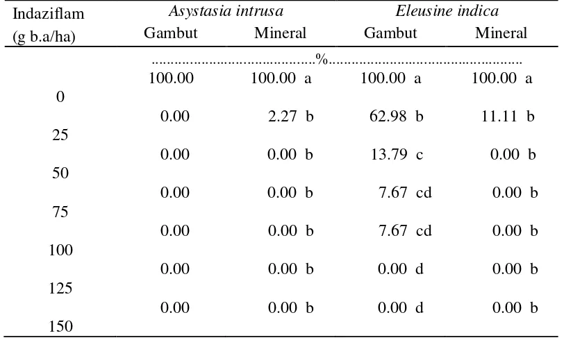 Tabel 2. Pengaruh indaziflam terhadap persentase A.intrusa dan E. indica yang 
