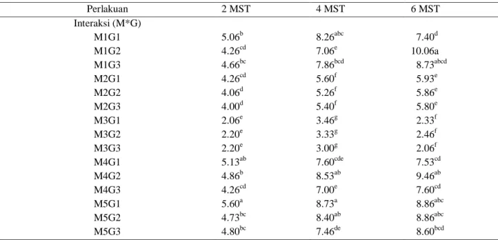 Tabel 6. Interaksi Media Tanam dan Genotipe pada Pertumbuhan Jumlah Daun Bibit Pepaya di Polybag 