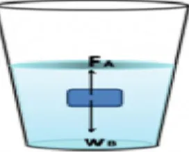 Gambar 2.1 Dua buah gaya yang bekerja  pada benda yang tercelup dalam zat cair 