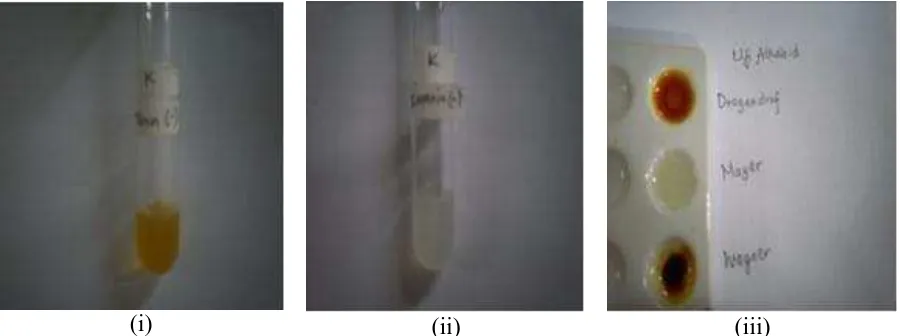 Figure 1. Pranajiwa Oil (Sterculia foetida Linn.) (i) Test result of tannin content; (ii)Test result of saponin content; (iii) Test result of alkaloid content