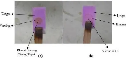 Gambar 1. Hasil uji kualitatif antioksidan, (a) Sampel ekstrak jantung pisangkepok, (b) Vitamin C