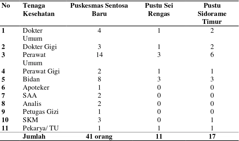Tabel 4.3 Distribusi Tenaga Kesehatan di Puskesmas Sentosa Baru Kota Medan Tahun 2016 