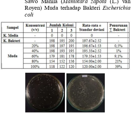 Tabel 3. Hasil Uji Aktivitas Antibakteri Sari Buah 