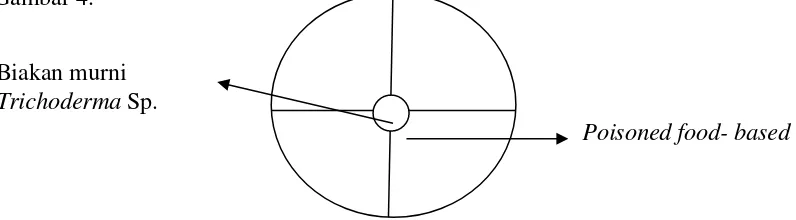 Gambar 4. Skema uji kemampuan Trichoderma terhadap fungisida dengan metode poisoned food - based