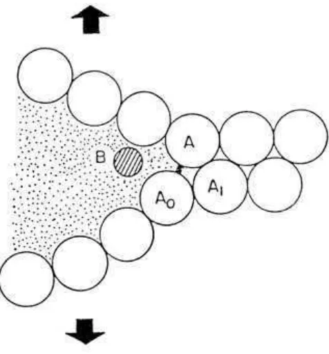 Gambar 2.6.Skema diagram dari teori adsorpsi [Pugh].