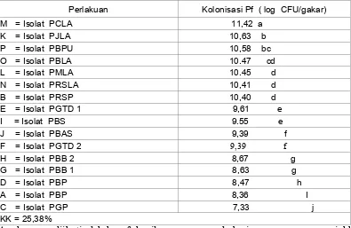 Tabel  3. Kolonisasi P. fluoresens  pada perakaran bibit pisang  (6 hsi) 