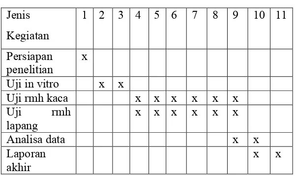 Tabel .  Jadwal Pelaksanaan 