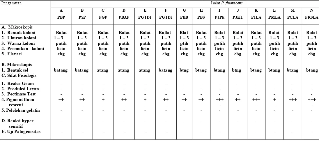 Tabel 5.    Karakteristik  P. flourescens pada media Kings’B (umur 48 jam)   