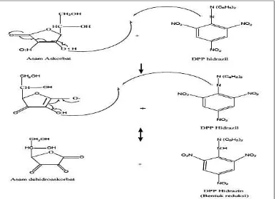 Gambar IV.1 Mekanisme reaksi antara Vitamin C dan DDPH[14] 